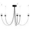 Moooi Gravity Chandelier -Raumbeleuchtungs Geschäft 001 Moooi Gravity Chandelier 5 frei 122035 schwarz 907a264ca71ddd3cfffe282bdea36856