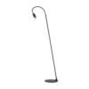 Oligo A Little Bit Stehleuchte -Raumbeleuchtungs Geschäft 001 Oligo A Little Bit Steh frei 116252 schwarz 0126b3bc95b7d3f3f5c78ab3ebe8cfcf