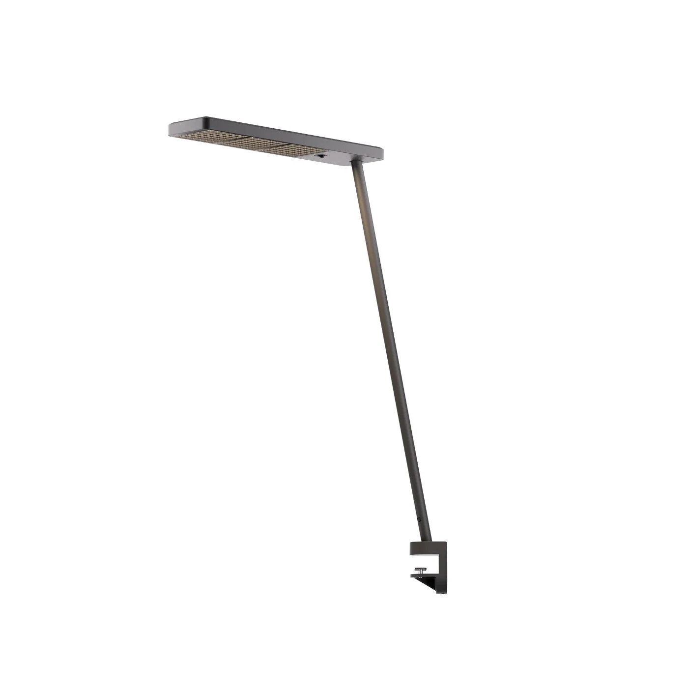 GRAU XT-a Single Clamp 4 GRAU XT-a Single Clamp – Bild 2