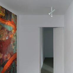 Nemo Tubes Ceiling -Raumbeleuchtungs Geschäft 002 nemo tubes ceiling ambient2 e25ae09bf8055a162a4b5296f1e8c35d