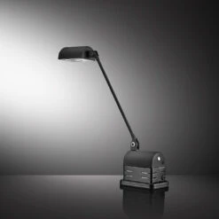 Lumina Daphinette Portatile -Raumbeleuchtungs Geschäft 004 Lumina Daphinette Portatile Tisch detail1 0b3f5424d2c0c656b757b29aa026e57a