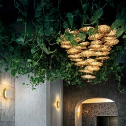 Catellani & Smith Gold Moon Chandelier 11 Catellani & Smith Gold Moon Chandelier -Raumbeleuchtungs Geschäft 006 Catellani Smith Gold Moon Chandelier Pendel 116079 gold f55dec0ce59ac5ab6f5b7cd3f6d8a16b