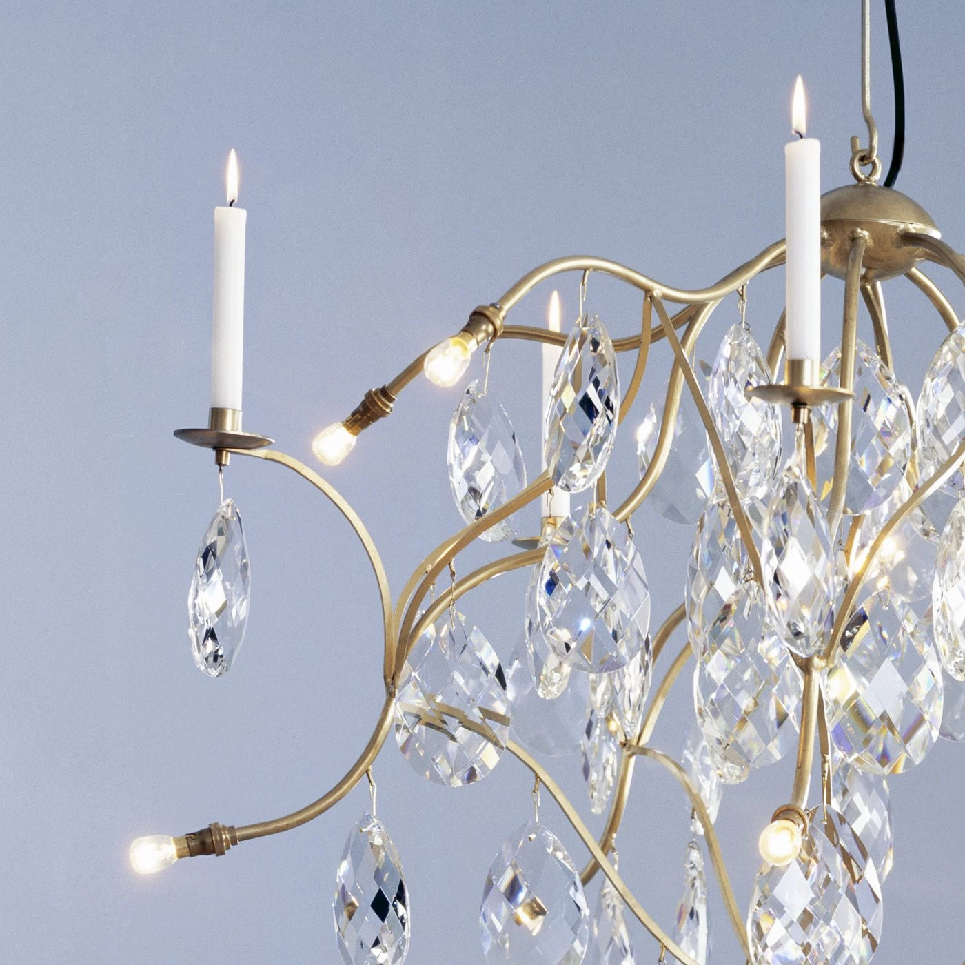 Anthologie Quartett Jahreszeiten Eiszeit 90 8 Anthologie Quartett Jahreszeiten Eiszeit 90 – Bild 6